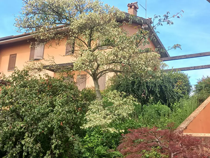 Immagine 14 di Villetta a schiera in affitto  in via Cibele a Monteviale