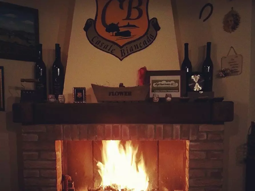 Immagine 11 di Agriturismo in vendita  in Petritoli a Petritoli