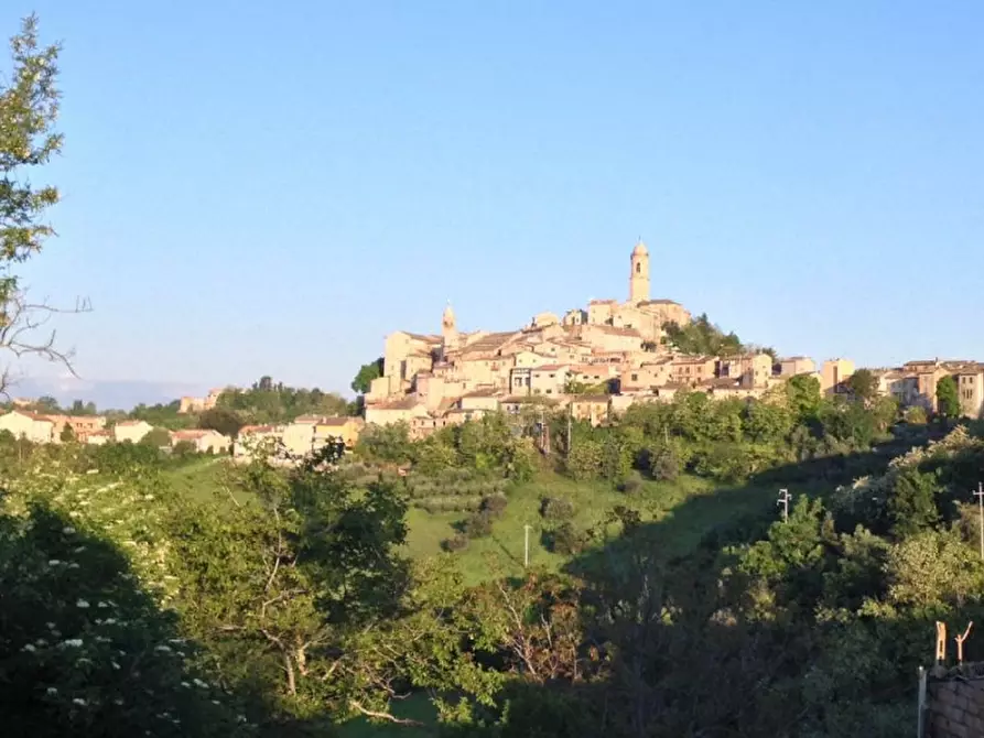 Immagine 16 di Agriturismo in vendita  in Petritoli a Petritoli