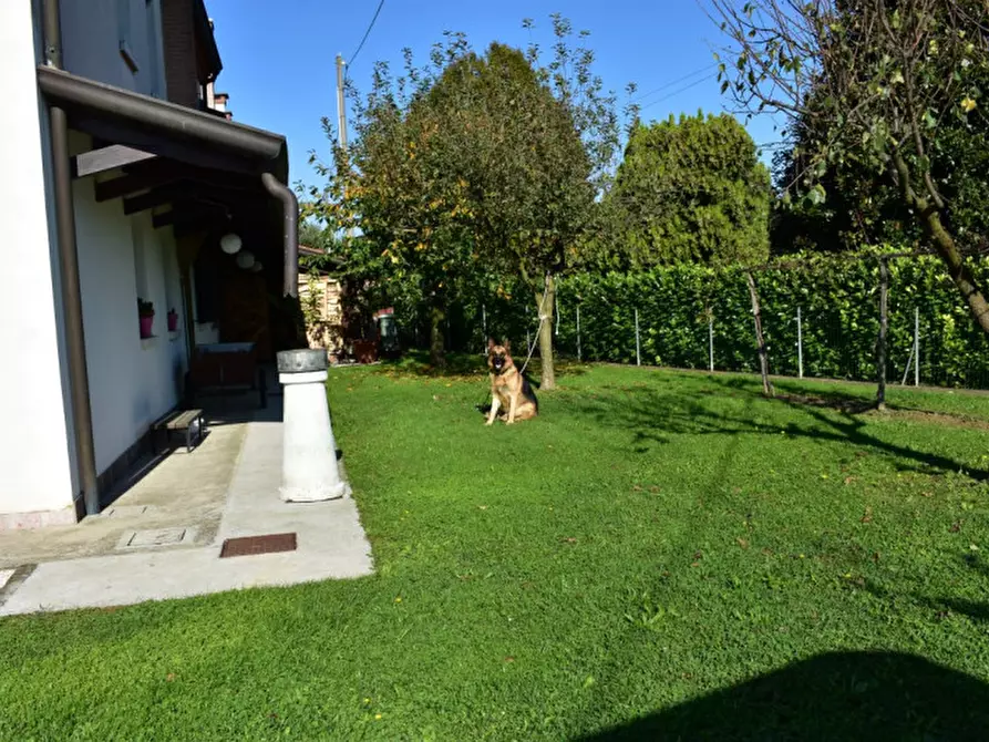 Immagine 35 di Villa in vendita  a Masera' Di Padova