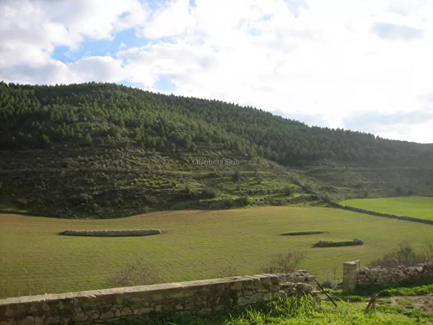 Immagine 18 di Rustico / casale in vendita  in Strada Provinciale 59 a Ragusa