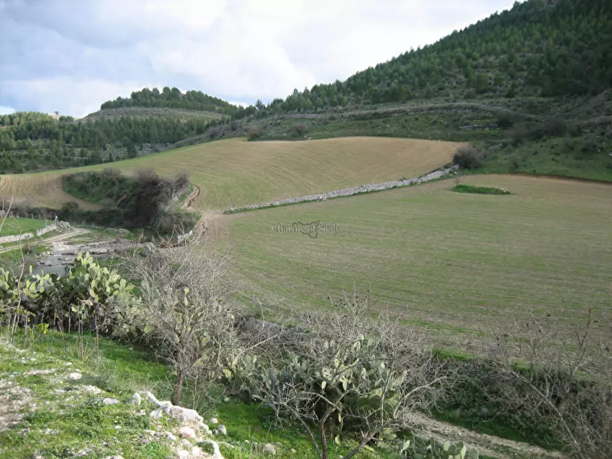 Immagine 19 di Rustico / casale in vendita  in Strada Provinciale 59 a Ragusa