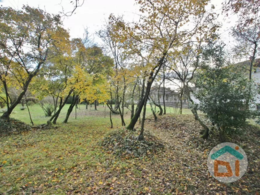 Immagine 5 di Terreno in vendita  in via Gorizia a Doberdò Del Lago