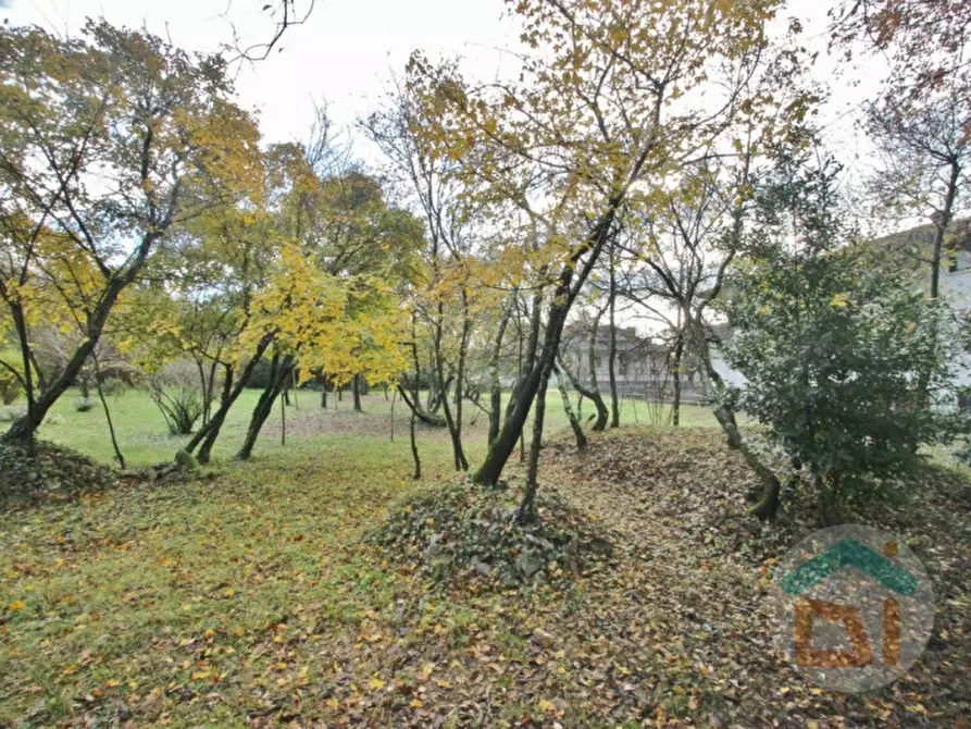 Immagine 14 di Terreno in vendita  in via Gorizia a Doberdò Del Lago