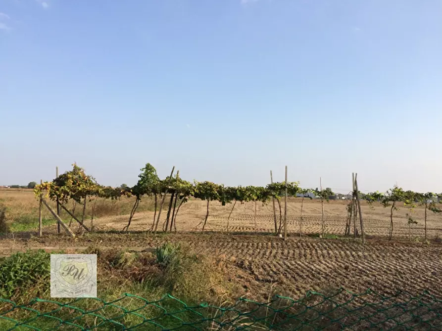 Immagine 2 di Terreno in vendita  in Via Roma a Este