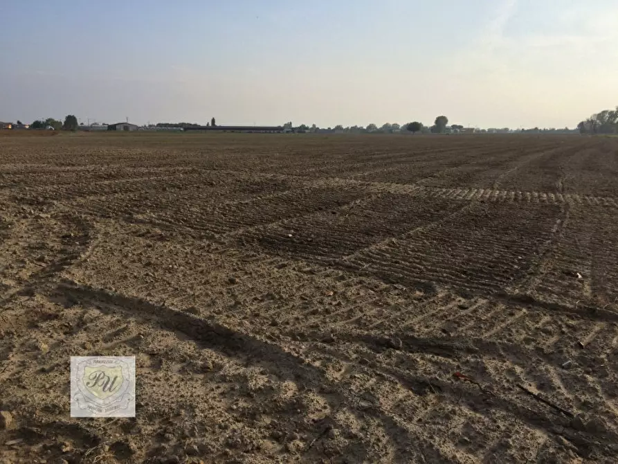 Immagine 3 di Terreno in vendita  in Via Roma a Este