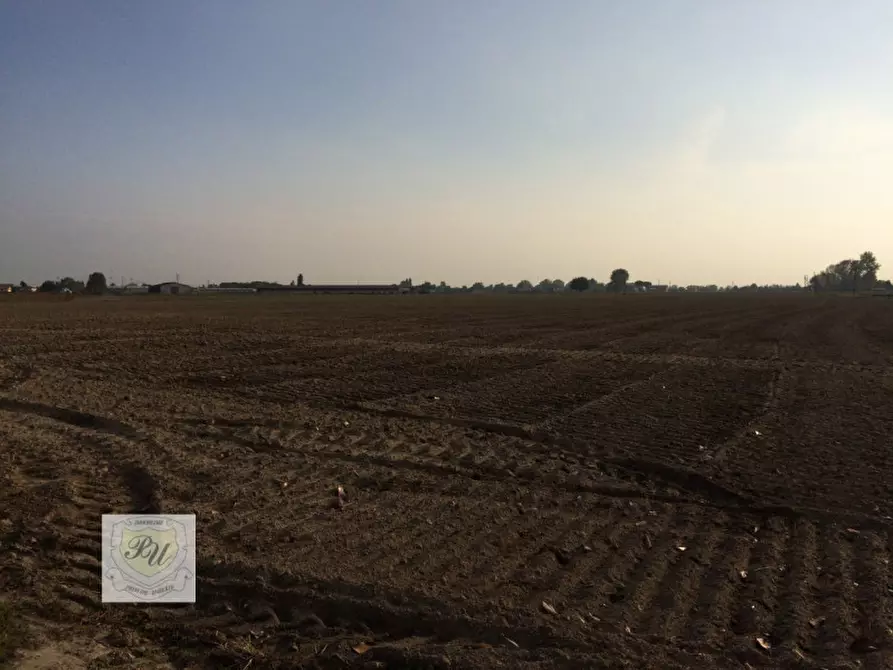 Immagine 5 di Terreno in vendita  in Via Roma a Este