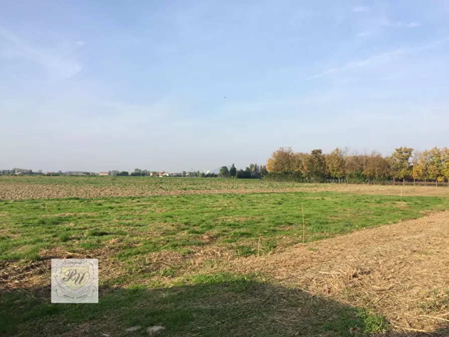 Immagine 5 di Terreno in vendita  in Via Boschette a Ospedaletto Euganeo