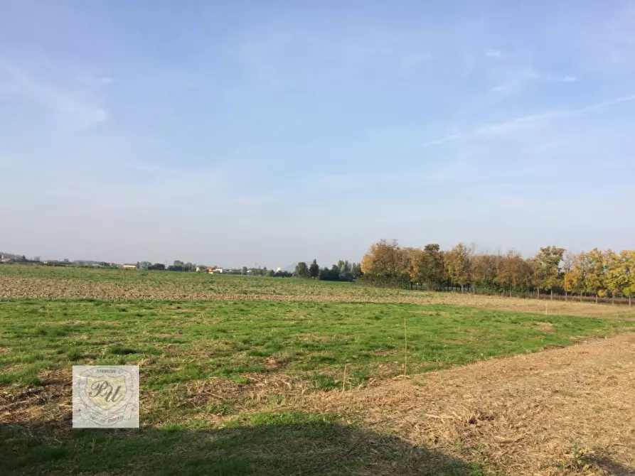 Immagine 6 di Terreno in vendita  in Via Boschette a Ospedaletto Euganeo