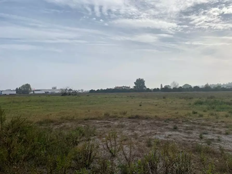 Immagine 2 di Terreno in vendita  a Cesena