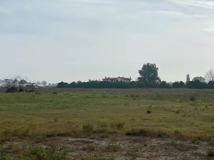 Immagine 3 di Terreno in vendita  a Cesena