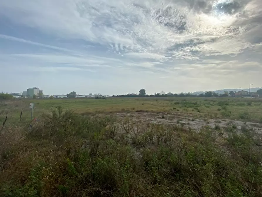 Immagine 4 di Terreno in vendita  a Cesena