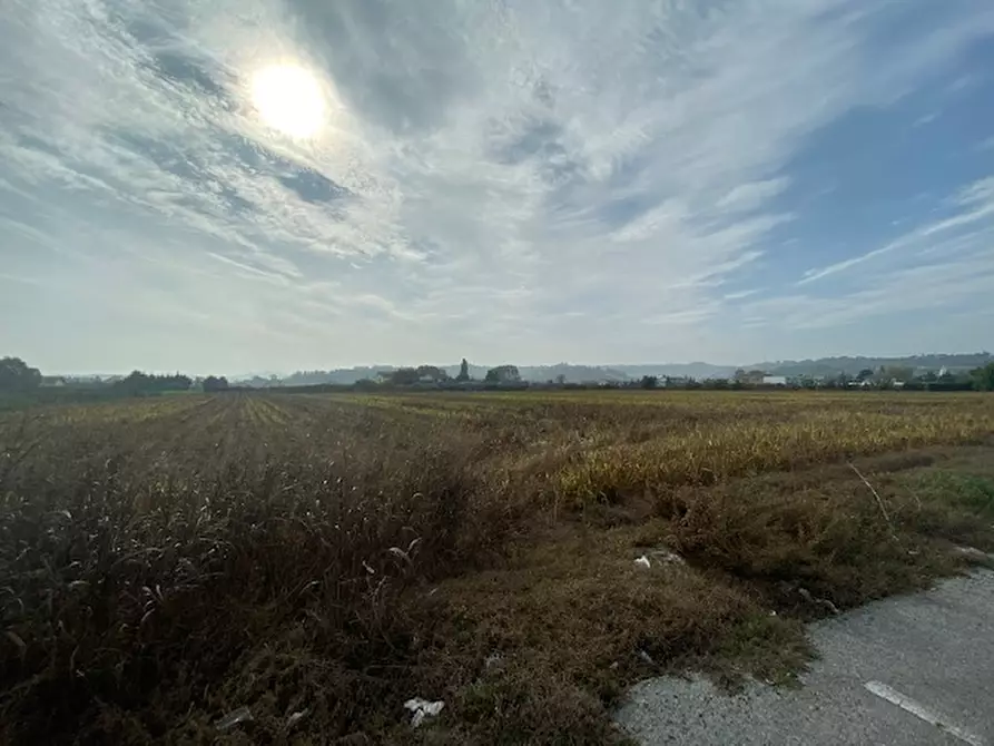 Immagine 2 di Terreno in vendita  a Cesena