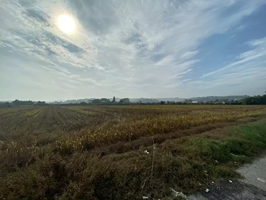 Immagine 3 di Terreno in vendita  a Cesena