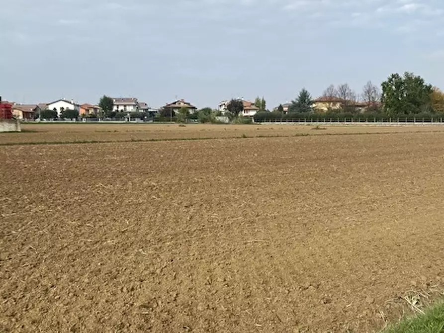 Immagine 3 di Terreno in vendita  a Cesena