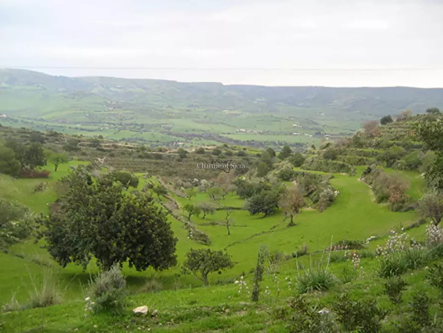 Immagine 16 di Rustico / casale in vendita  in San Giacomo a Modica