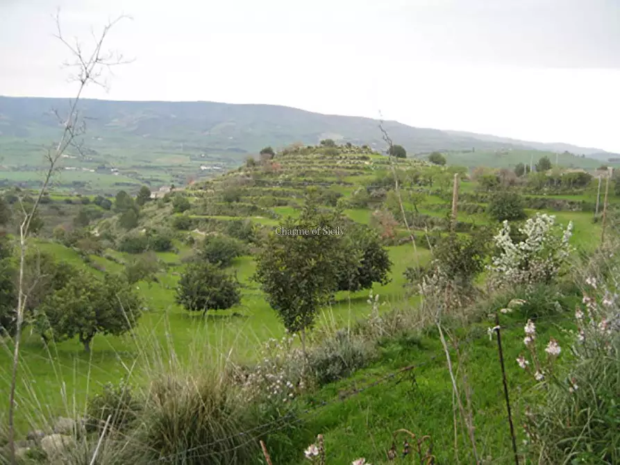 Immagine 17 di Rustico / casale in vendita  in San Giacomo a Modica