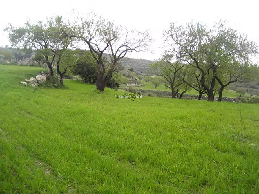 Immagine 24 di Rustico / casale in vendita  in San Giacomo a Modica