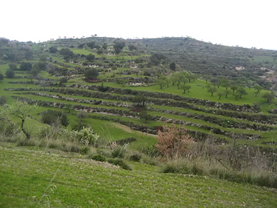 Immagine 27 di Rustico / casale in vendita  in San Giacomo a Modica