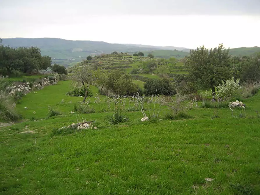 Immagine 28 di Rustico / casale in vendita  in San Giacomo a Modica