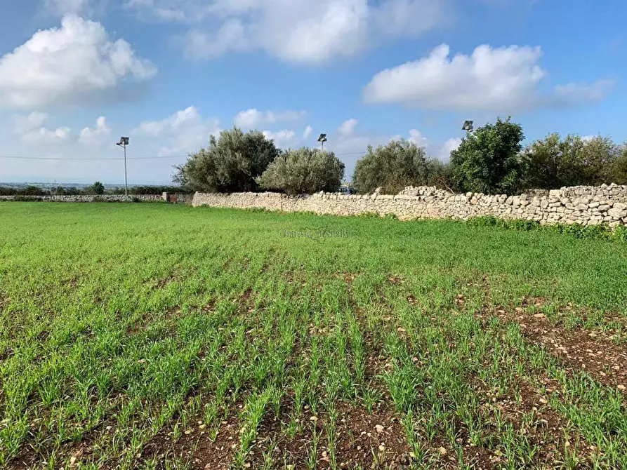 Immagine 19 di Rustico / casale in vendita  in Contrada Pirato Quartarella San filippo a Modica
