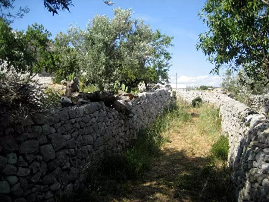 Immagine 20 di Rustico / casale in vendita  in Contrada Pirato Quartarella San filippo a Modica