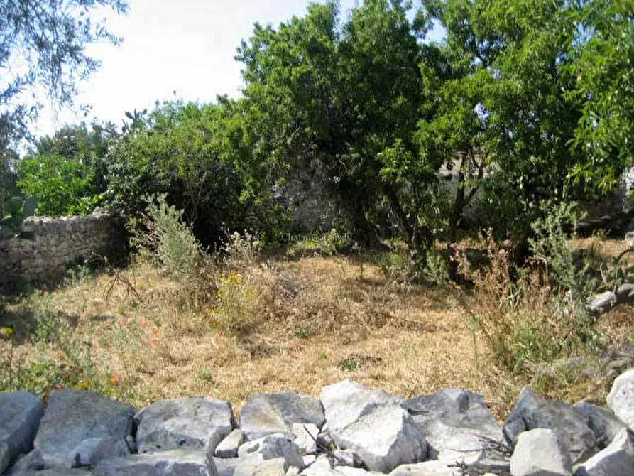 Immagine 21 di Rustico / casale in vendita  in Contrada Pirato Quartarella San filippo a Modica