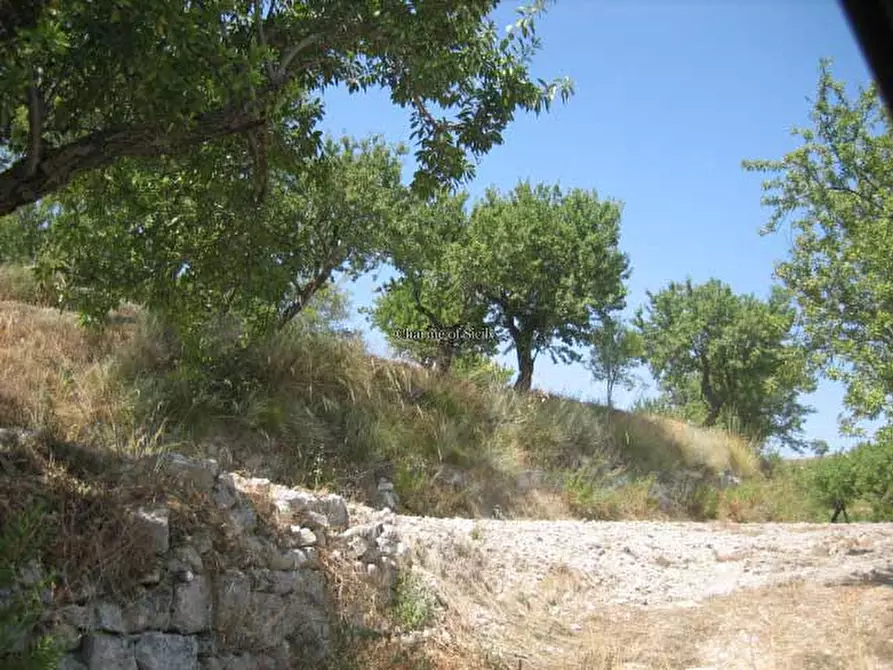 Immagine 14 di Terreno in vendita  in Contrada Mandrevecchie a Giarratana