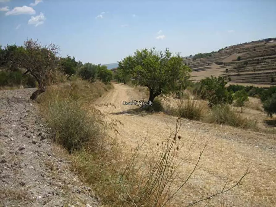 Immagine 16 di Terreno in vendita  in Contrada Mandrevecchie a Giarratana