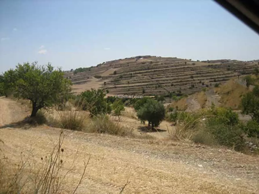 Immagine 18 di Terreno in vendita  in Contrada Mandrevecchie a Giarratana