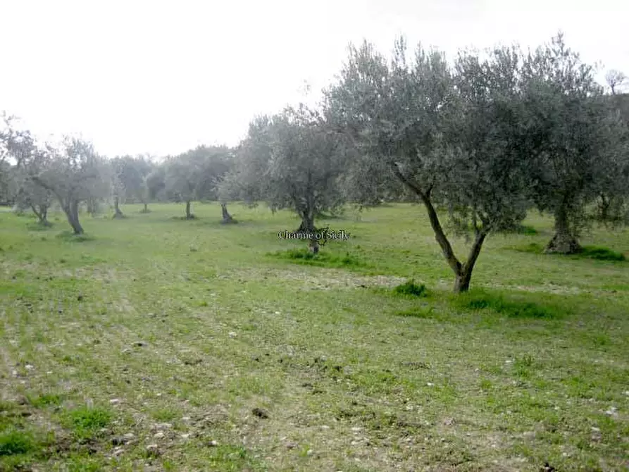Immagine 19 di Terreno in vendita  in Contrada Mandrevecchie a Giarratana
