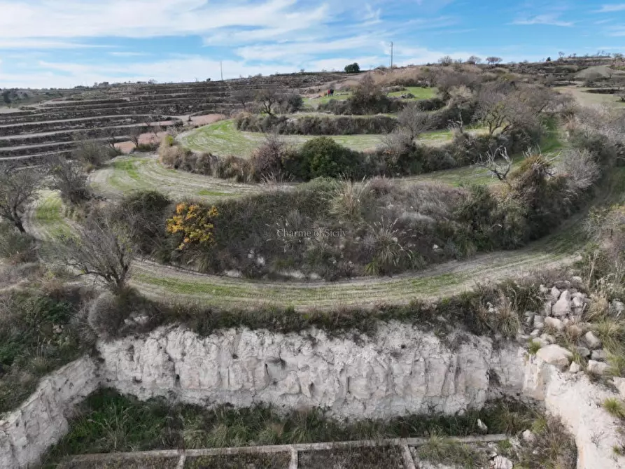 Immagine 24 di Terreno in vendita  in Contrada Mandrevecchie a Giarratana