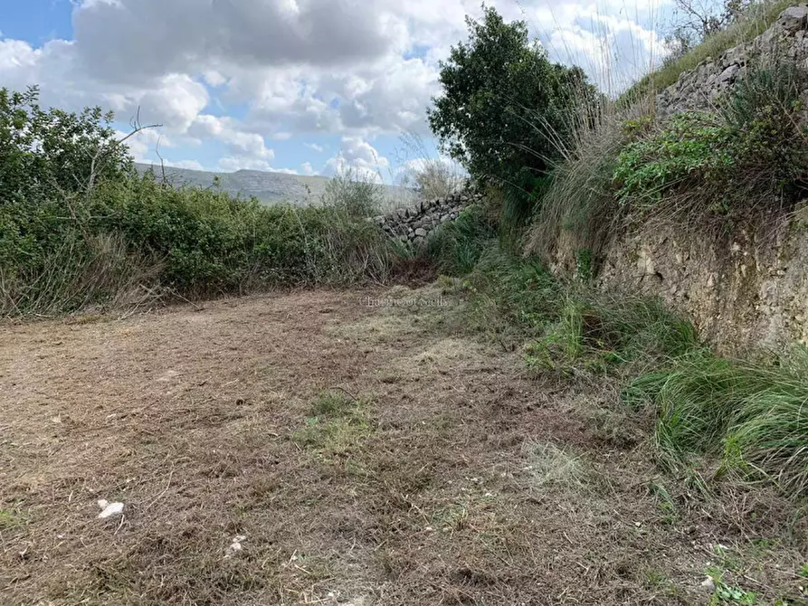 Immagine 15 di Terreno in vendita  in CALEO a Ragusa