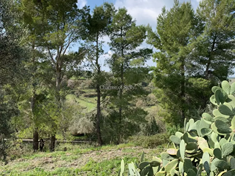 Immagine 11 di Villa in vendita  in Montesano a Modica