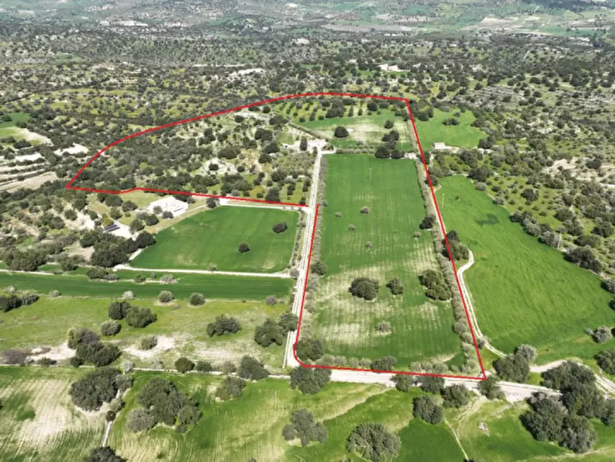 Immagine 9 di Rustico / casale in vendita  in favarotta cozze rose a Modica