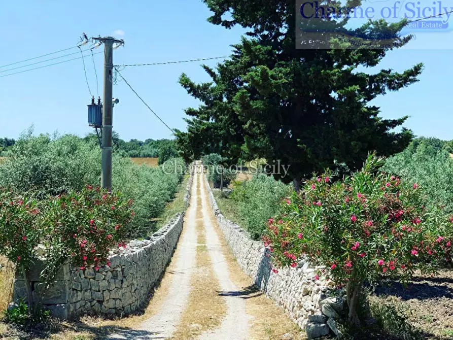 Immagine 16 di Rustico / casale in vendita  in favarotta cozze rose a Modica