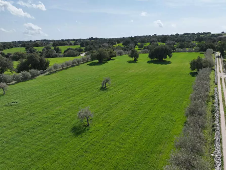 Immagine 17 di Rustico / casale in vendita  in favarotta cozze rose a Modica