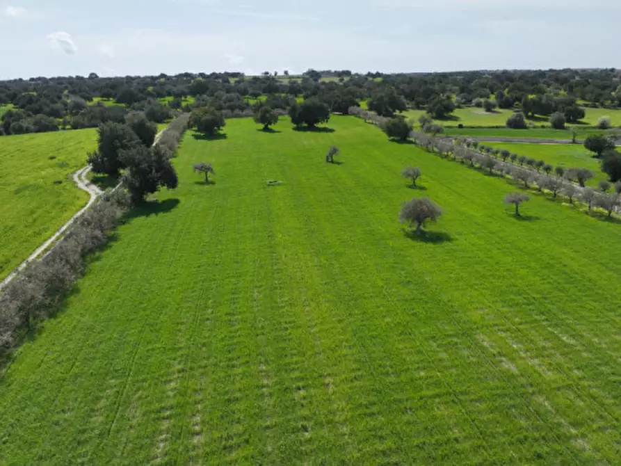 Immagine 18 di Rustico / casale in vendita  in favarotta cozze rose a Modica
