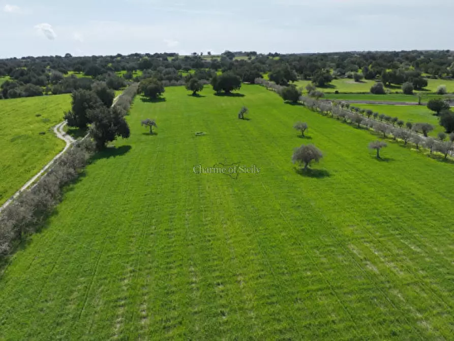 Immagine 22 di Rustico / casale in vendita  in favarotta cozze rose a Modica