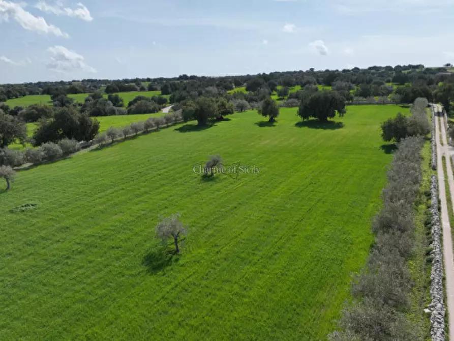 Immagine 24 di Rustico / casale in vendita  in favarotta cozze rose a Modica