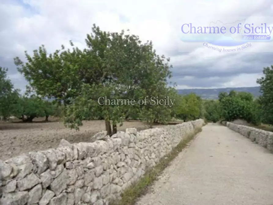 Immagine 35 di Rustico / casale in vendita  in favarotta cozze rose a Modica