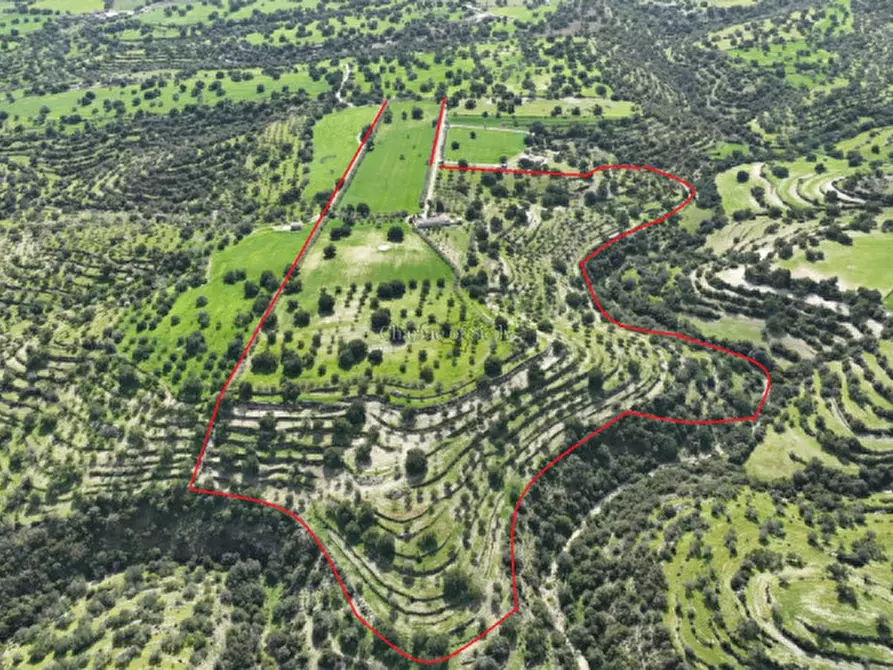 Immagine 39 di Rustico / casale in vendita  in favarotta cozze rose a Modica