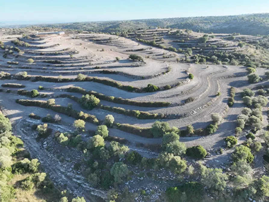 Immagine 5 di Terreno in vendita  in Provinciale 55 a Ragusa