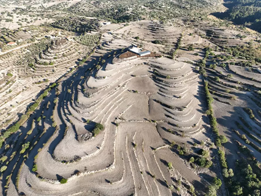 Immagine 11 di Terreno in vendita  in Provinciale 55 a Ragusa