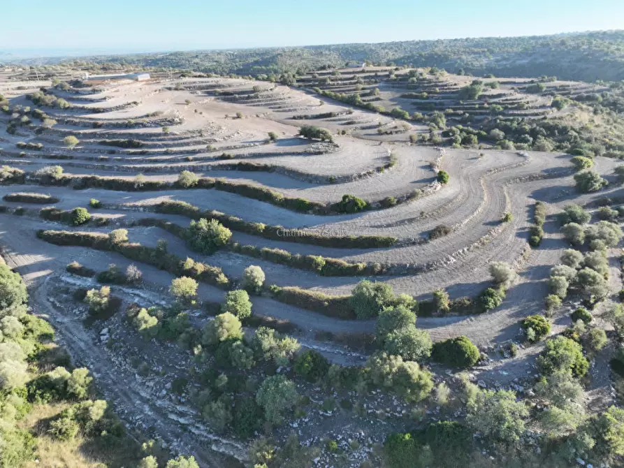 Immagine 20 di Terreno in vendita  in Provinciale 55 a Ragusa