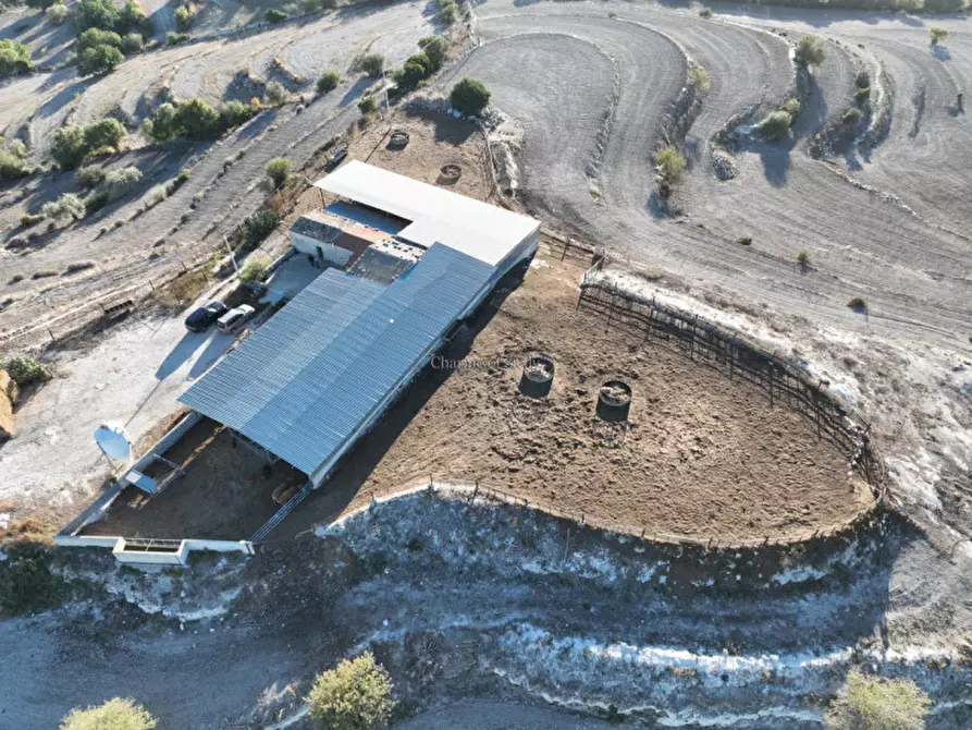 Immagine 23 di Terreno in vendita  in Provinciale 55 a Ragusa