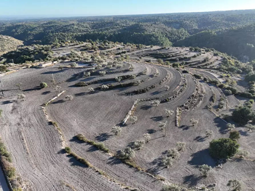 Immagine 25 di Terreno in vendita  in Provinciale 55 a Ragusa