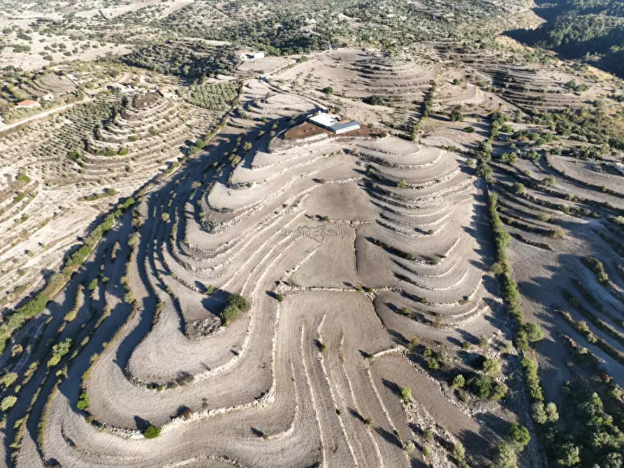 Immagine 26 di Terreno in vendita  in Provinciale 55 a Ragusa