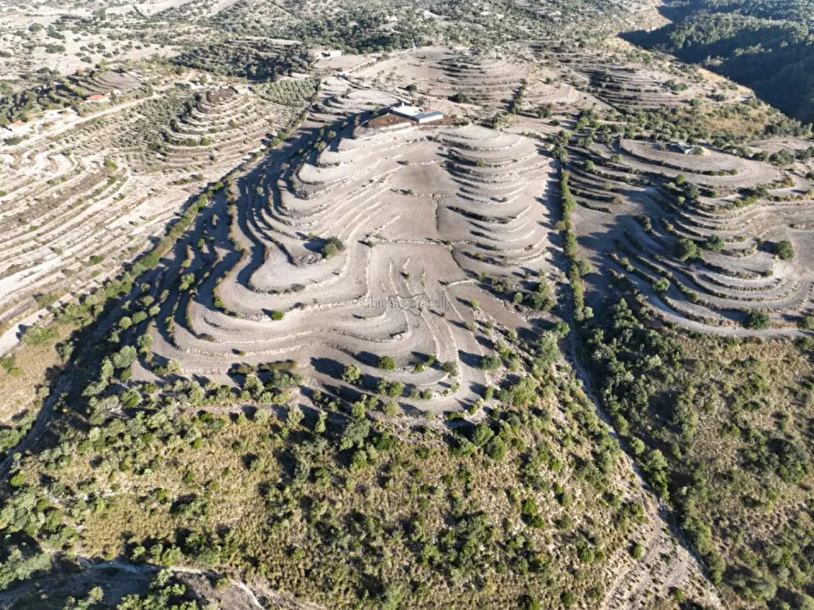 Immagine 27 di Terreno in vendita  in Provinciale 55 a Ragusa