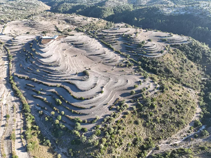 Immagine 28 di Terreno in vendita  in Provinciale 55 a Ragusa